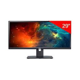 DELL U2913WM